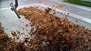 870K views · 581 shares | It’s clear to see what you need to clear the yard this fall. Learn more here: https://goo.gl/uwXNbP | EGO | Facebook