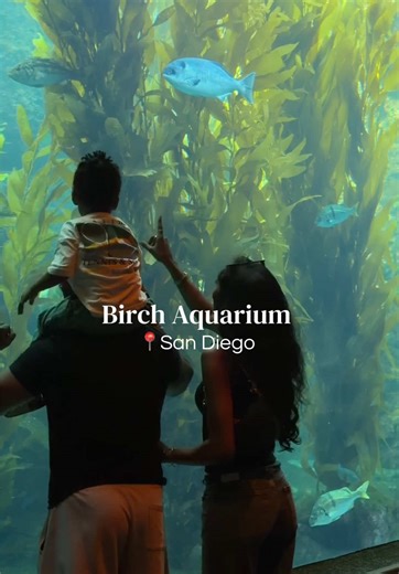 Explore Toddler-Friendly Activities at Birch Aquarium