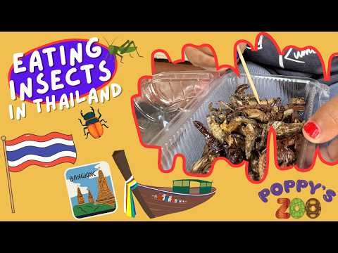 Kids Try Exotic Foods! 🐜 Poppy Eats Insects in Bangkok | Poppy's Zoo
