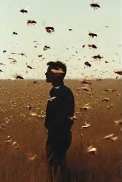 When the Bees Swarm You in Your Dream… What Pressure Is Buzzing Inside Your Mind? #dreammeaning