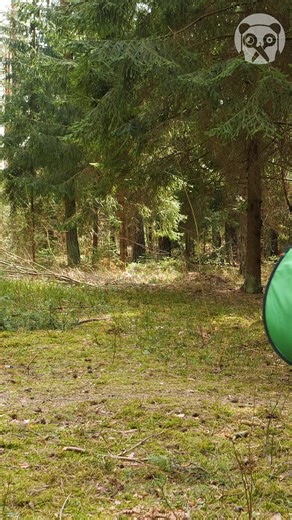 20K views · 55 reactions | Super Easy Camping Food Ideas | Lady Panda | Facebook