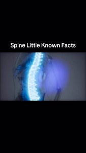 Structure & Design 1. 🦴 The spine has 33 vertebrae at birth, but some fuse, leaving 24 movable ones in adults. 2. 📏 The average spine is about 28 inches long in men and 25 inches in women. 3. 🌀 The spine has natural curves (cervical, thoracic, lumbar) that act like shock absorbers. 4. 💡 Your spine makes up about one-third of your body height. 5. 🦴 The smallest vertebra is in your neck (cervical), the largest in your lower back (lumbar). Flexibility & Strength 6. 🤸 The spine is incredibly f