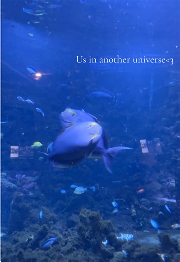 Us in Another Universe: A Fairy Tale