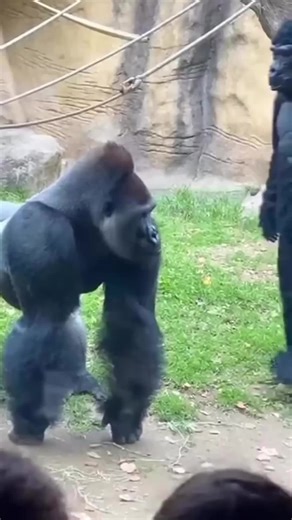 Amazing AI-Generated Animal Video with 100 Million Views