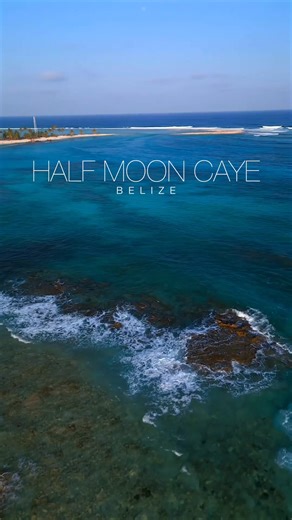 Dive Deep into Belize – Snorkel, Dive, Kayak, and More! Your Ultimate Vacation Starts Here. 🏊‍♀️🌞 | Island Expeditions