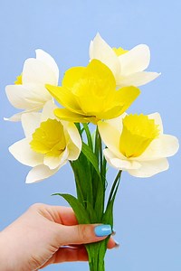 🌼✨ Why wait for spring when you can craft it yourself? These stunning crepe paper daffodils are bright, cheerful, and will never wilt—no watering required! 🎨✂️ https://onelittleproject.com/crepe-paper-daffodils/ | One Little Project