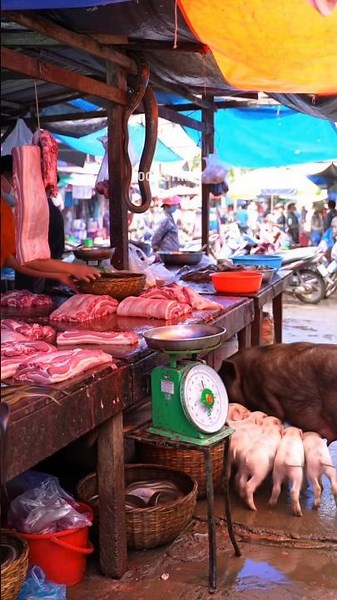 Traditional Asian Markets: Fresh Meat Markets in Asia.‪@muhibbudinfood-ai‬