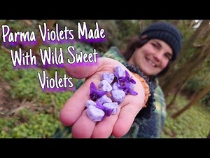 How To Make Parma Violets With Wild Sweet Violets 💜🍬