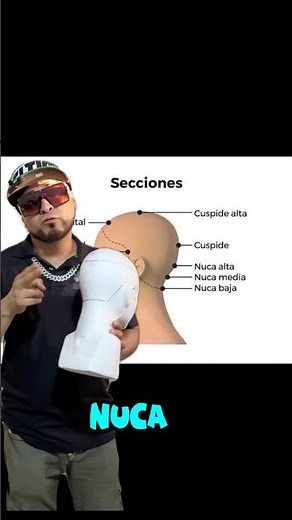 Tipos de cráneo y división de la cabeza en barbería (Clase básica)