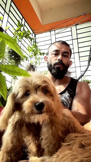 For adoption dm if you have minimum experience of 5yrs with 🐕 #cocapoo #pets #petstagram #puppy #dogslover #cutebaby #cutebaby | Bhaskar Tamuly