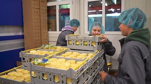 12,000 pupils to get summer jobs this year in Latvia