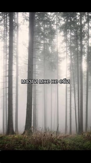 ❗️Добейте 1000 подписчиков❗️#лес #скиньдругу #текст #repost #fup