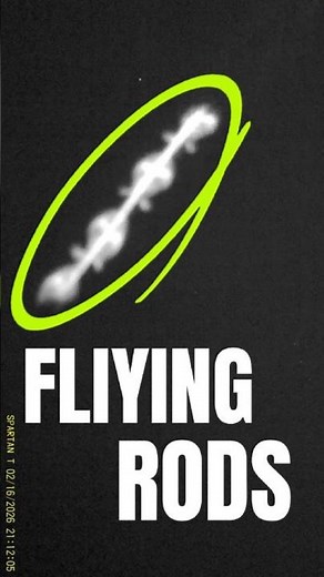 Lo que captó mi cámara trampa!!!Rods, Skyfish, insecto??? Que es esto 😱 #alien #rods #skyfish #UAP