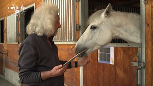 3.8K views · 147 reactions | [LIVE NOW #VF2021]  There's a horse in this interview, will you find it? Official: Mischa Maisky and Janine Jansen have often played together throughout the years, and 2021 is no exception! They will be joined by Mikhail Pletnev to perform Tchaikovsky's Piano Trio, after a solo performance by the pianist! In partnership with Julius Baer  https://cutt.ly/Bm1MvIL | medici.tv | Facebook