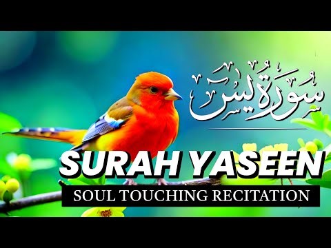 Surah Yasin (Yaseen) | Beautiful quran recitation | Heart touching quran voice | Yasin Full Surah