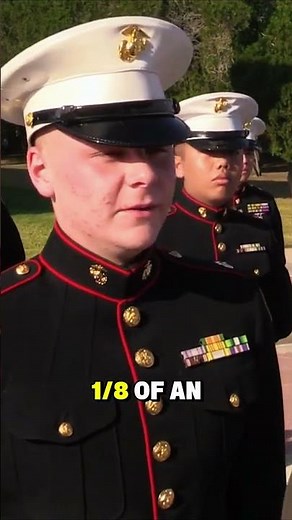 What Does the Marine Corps Emblem Look Like?