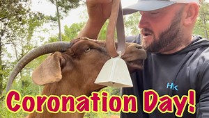 140K views · 10K reactions | Today we name the new leader of our wacky pack | Ima Survivor Donkey and Farm Animal Sanctuary | Facebook