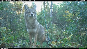 18K views · 1.9K reactions | In this video you will see two 10 second...