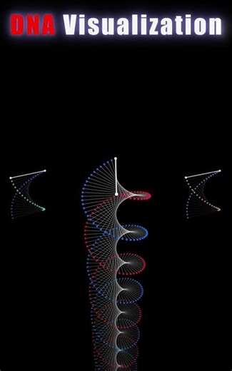 DNA Visualization🧬 | Science Symphony