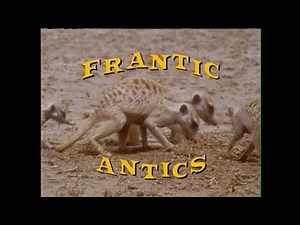 Growing Up Wild: Frantic Antics