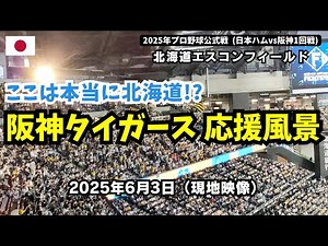 ここは本当に北海道!? エスコンフィールドでの阪神タイガースの応援風景（「チャンス襲来」「六甲おろし（大山悠輔のホームラン後）」「チャンスわっしょい」） 日本ハム対阪神1回戦 2025年6月3日