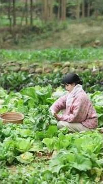 Homemade Spicy Crispy Dried Radish—Perfect with Rice! 🌶️🍚