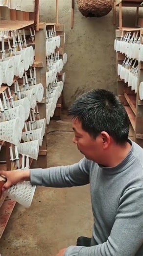 This is what a bee house looks like during the breeding process.#youtubeshorts