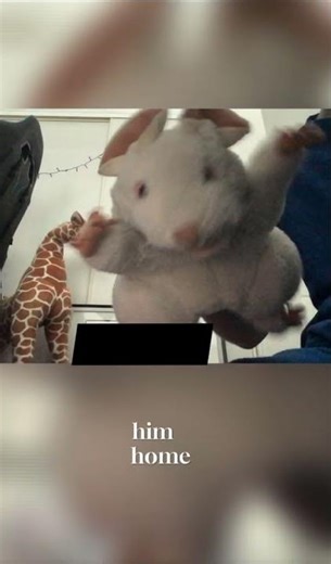 The fat rat #shorts #fatrat #rescue