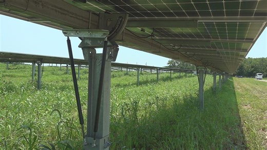 New Mercer County solar farm will power over 800 homes, businesses