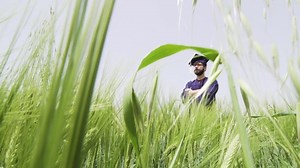 Young Man Graduation Clothes Green Field Stock Footage Video (100% Royalty-free) 1087782635 | Shutterstock