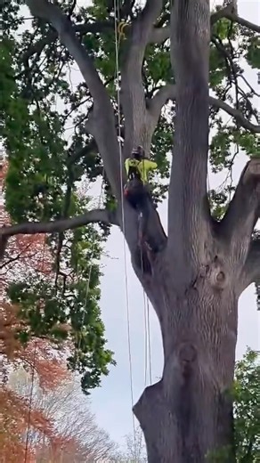 1.2K views · 56 reactions | ✈ Kayne and Sonja recently travelled to...