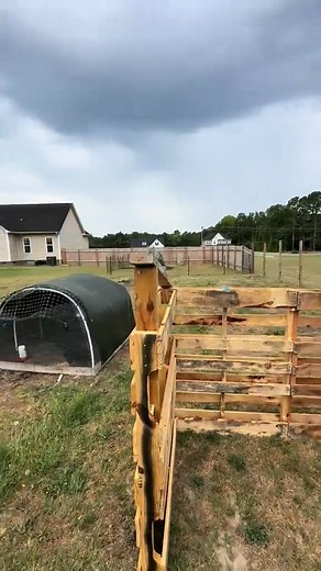 166K views · 1.1K reactions | An easy and affordable way to build your animals a little structure! #homesteadlife #pallet #palletproject #farmanimals #homesteadingtiktok #poultry #backyardchickens #Cooper | Barbie's Formals | Facebook