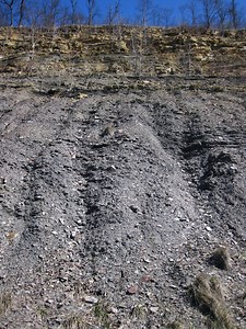 Sandstone-dominated Logan Formation over shale-dominated Cuyahoga Formation (Lower Mississippian; Rt. 35 roadcut, northeast of Rittenours, Ohio, USA) 7