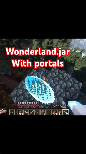 Solving Wonderland.jar with Guns and Portals.