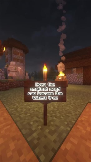From Small Seeds to Tall Trees: A Minecraft Journey