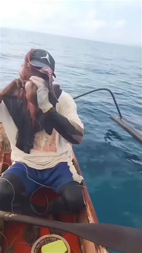 Octopus attack: the mollusk latched onto a man’s face 🐙