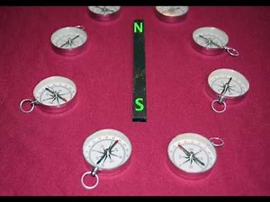 Seeing Magnetic Field Lines