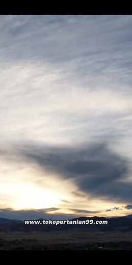 4.5K views · 12 reactions | Manfaat Labu Bagi Kesehatan Yang Perlu Kalian Ketahui!! | Pertanian & Perkebunan | Facebook