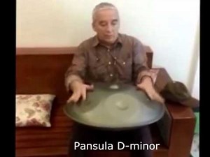 Pansula Handpan 9 Note D-minor scale
