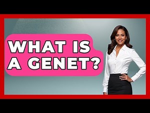 What Is A Genet? - The Wild Life Explorer
