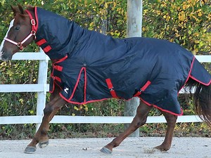 147K views · 1.5K reactions | HorZe 420 Denier Waterproof Blankets. Sizes to fit Ponies & Horses 38"- 84" - starting at $44.99. | ChickSaddlery.com | Facebook