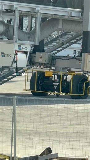 Cat Confidently Strolls Through Restricted Airport Apron || ViralHog