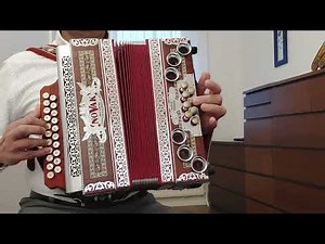 Silent Night - button accordion #christmas #winter