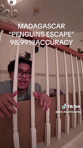 Madagascar: Penguins Escape - 98.99% Accuracy