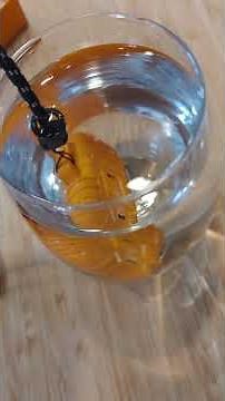 Explorer USB Lighter Review