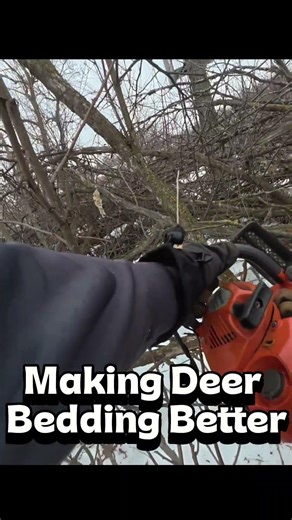 Deer Bedding Clean-Up Work