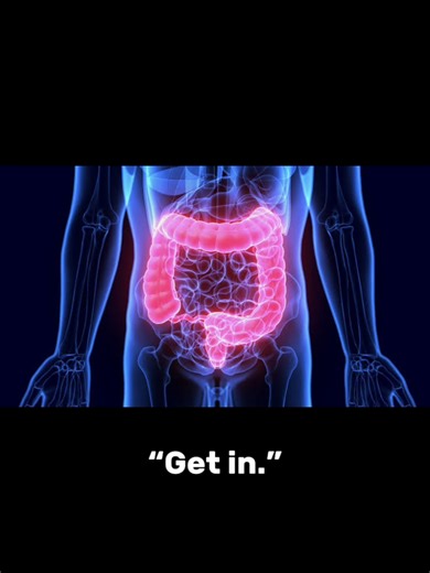large intestine on TikTok