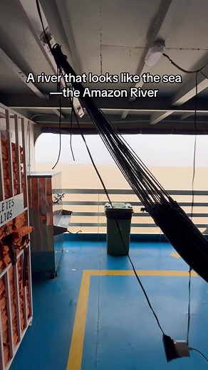 Amazon River: the river that looks like the sea