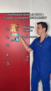 5 signes de l’irc du chat #top #cat Chez le chat, c’est le plus souvent une maladie chronique, qui évolue lentement mais sûrement. 1. Mauvaise haleine → Le rein est un filtre. Quand il ne marche plus, il laisse passer les déchets. L’urémie entraîne une odeur caractéristique due à l’accumulation de toxines azotées (urée, créatinine) dans le sang et la salive. 2. Vomissements → Conséquence des toxines urémiques qui irritent la muqueuse digestive et perturbent l’équilibre acido-basique. 3. Fonte mu