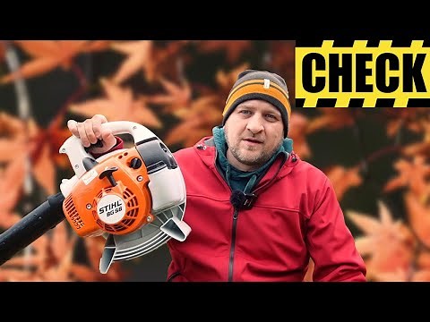 Stihl BG 56 🍂Leaf blower in practical test
